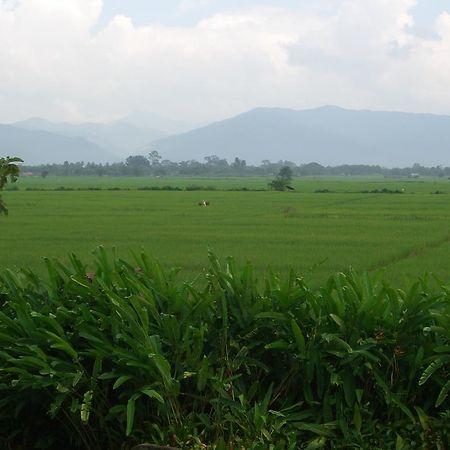 Rico Resort Chiang Kham Exterior foto