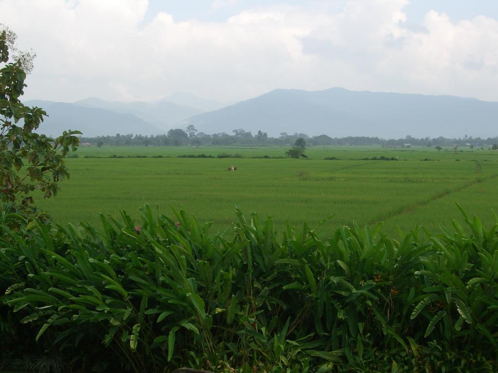 Rico Resort Chiang Kham Exterior foto